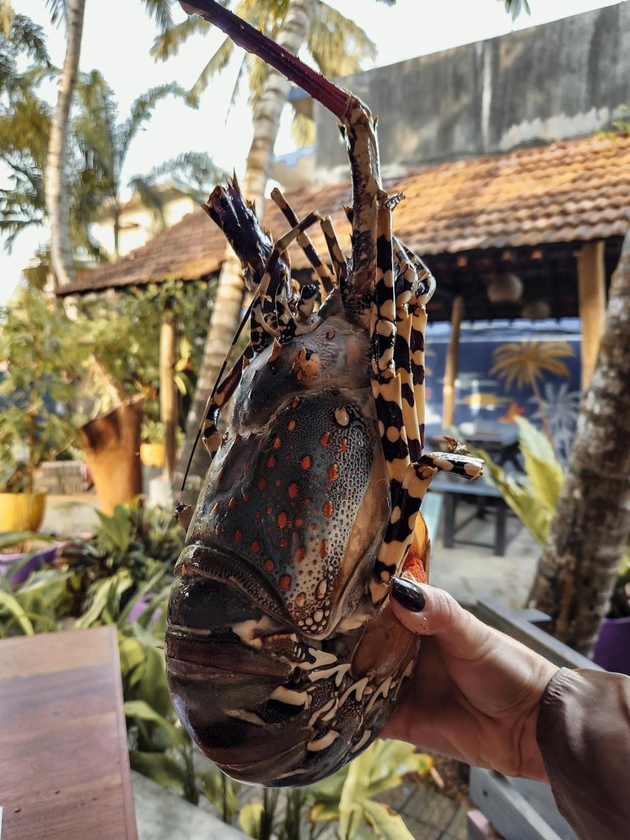 Daffodil Restaurant & Holiday Resort Unawatuna Luaran gambar